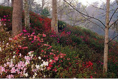 黄牛倒卖《蜘蛛侠：英雄无归》电影票 最贵高达2.5万美元